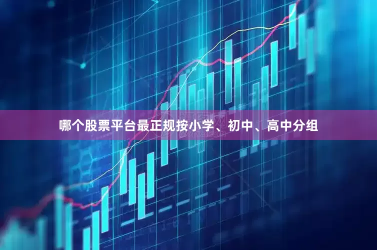 哪个股票平台最正规按小学、初中、高中分组