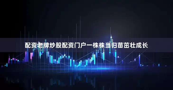 配资老牌炒股配资门户一株株当归苗茁壮成长