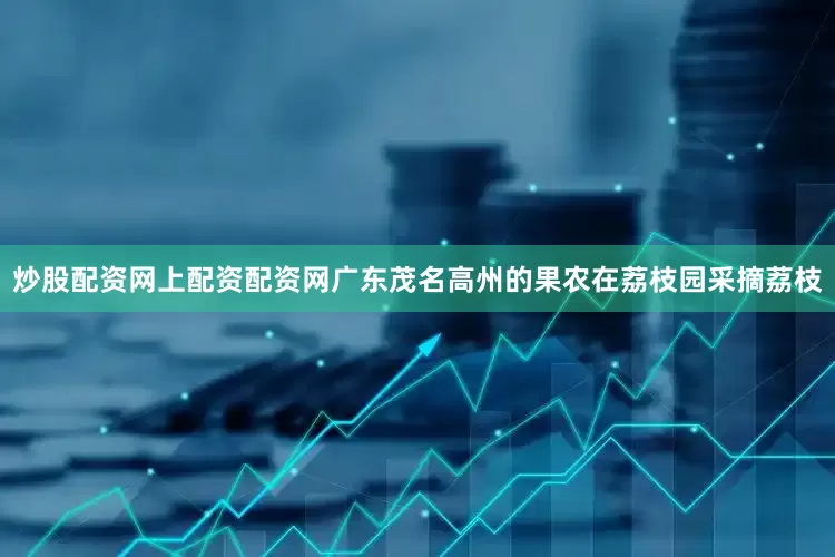 炒股配资网上配资配资网广东茂名高州的果农在荔枝园采摘荔枝