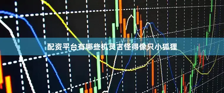 配资平台有哪些机灵古怪得像只小狐狸