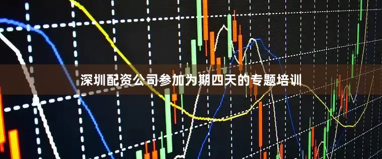 深圳配资公司参加为期四天的专题培训