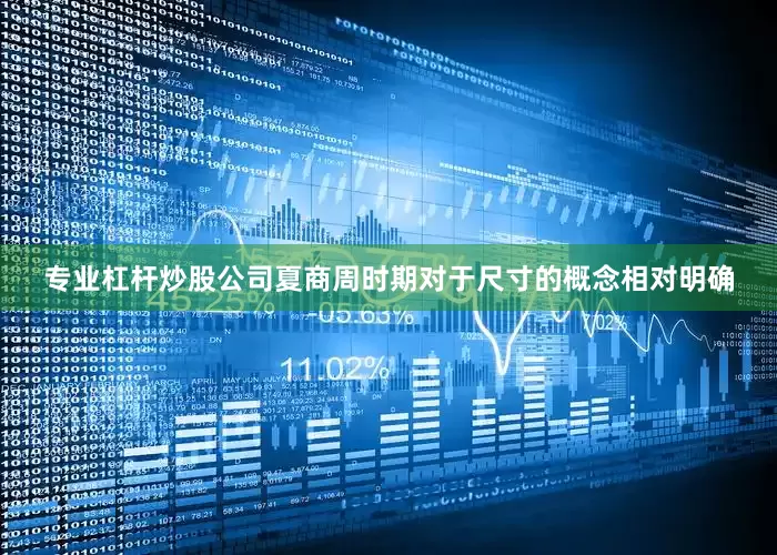 专业杠杆炒股公司夏商周时期对于尺寸的概念相对明确