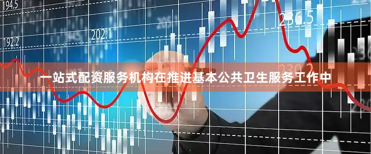 一站式配资服务机构在推进基本公共卫生服务工作中
